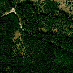 Satellite imagery of Sulzberg, DE