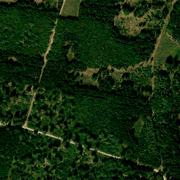 Satellite imagery of Königsberg, DE