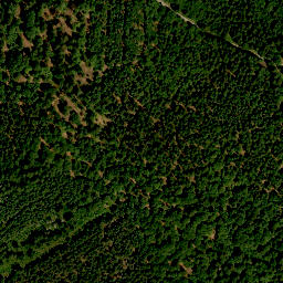 Satellite imagery of survey_point, CZ