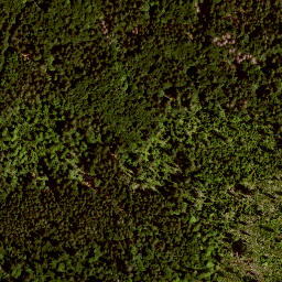 Satellite imagery of Kühhüttenberg, DE