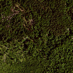 Satellite imagery of Kühhüttenberg, DE