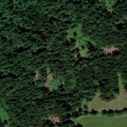 Satellite imagery of Hamerský les [Stožec-Radvanovice], CZ