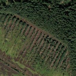 Satellite imagery of Soumarské rašeliniště. [Volary] outlook t., CZ