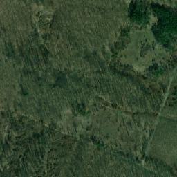 Satellite imagery of (Tvořihrázský les), CZ