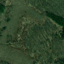 Satellite imagery of (Tvořihrázský les), CZ