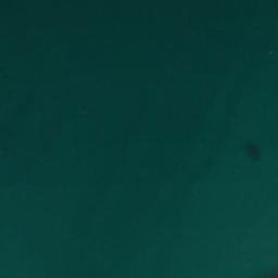 Satellite imagery of Point Whitehorn, US