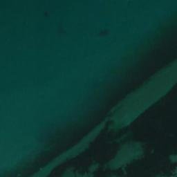 Satellite imagery of Point Whitehorn, US