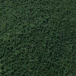Satellite imagery of Windy Ridge, US