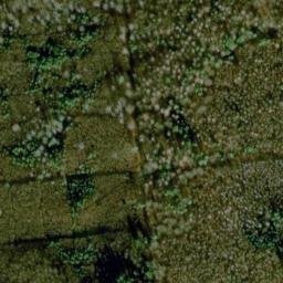 Satellite imagery of Langensteinbacher Höhe, DE