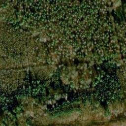 Satellite imagery of Langensteinbacher Höhe, DE