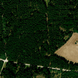 Satellite imagery of Sulzberg, DE
