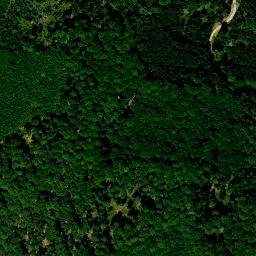 Satellite imagery of Königsberg, DE