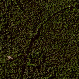 Satellite imagery of Alzenberg, DE