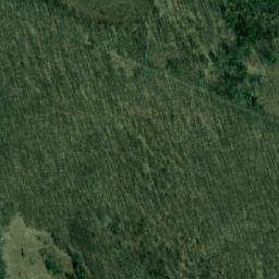 Satellite imagery of (Tvořihrázský les), CZ