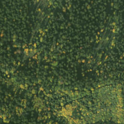 Satellite imagery of Bystrá priehyba, SK