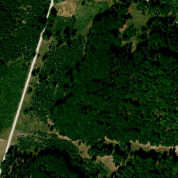 Satellite imagery of Sulzberg, DE