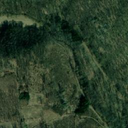 Satellite imagery of (Tvořihrázský les), CZ