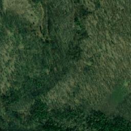 Satellite imagery of (Tvořihrázský les), CZ