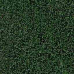 Satellite imagery of Gladstone Mine, US