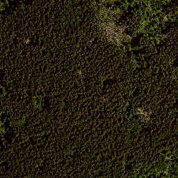 Satellite imagery of TP, AT