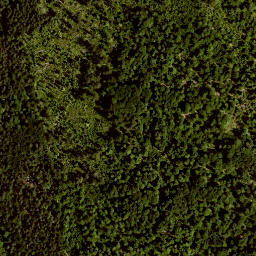 Satellite imagery of TP, AT