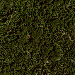 Satellite imagery of TP, AT