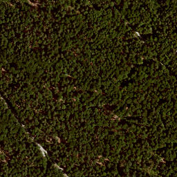 Satellite imagery of Alzenberg, DE