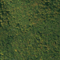 Satellite imagery of survey_point, SK