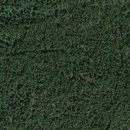 Satellite imagery of Wildcat Mine, US