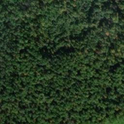 Satellite imagery of Steinbuckel, DE