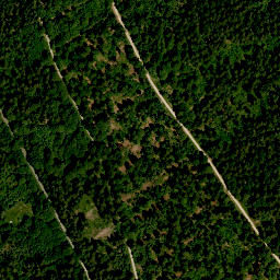 Satellite imagery of survey_point, AT