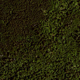 Satellite imagery of TP, AT