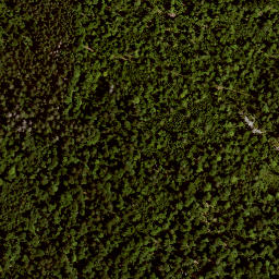 Satellite imagery of TP, AT