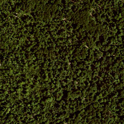 Satellite imagery of TP, AT