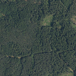 Satellite imagery of (U Buku) [Rapšach], CZ