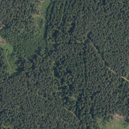 Satellite imagery of (U Buku) [Rapšach], CZ