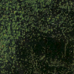 Satellite imagery of Štátna triangulácia, SK