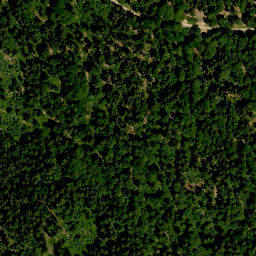 Satellite imagery of Steinberg, DE