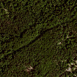 Satellite imagery of TP, AT