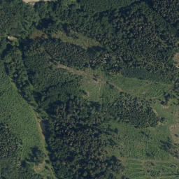 Satellite imagery of V Pekle, CZ