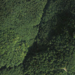 Satellite imagery of survey_point, SK