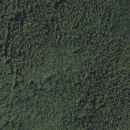 Satellite imagery of survey_point, SK
