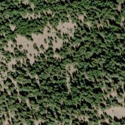 Satellite imagery of Juniper Point, US