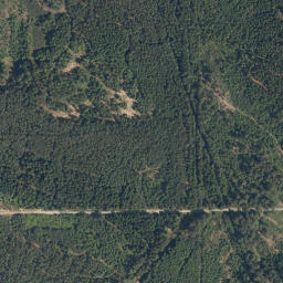 Satellite imagery of Spálený kopec [Rapšach], CZ