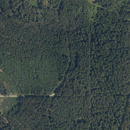 Satellite imagery of Spálený kopec [Rapšach], CZ