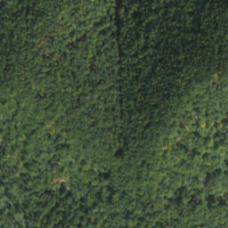 Satellite imagery of survey_point, SK
