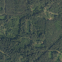 Satellite imagery of Spálený kopec [Rapšach], CZ