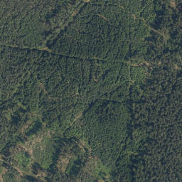 Satellite imagery of Spálený kopec [Rapšach], CZ