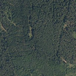 Satellite imagery of Spálený kopec [Rapšach], CZ