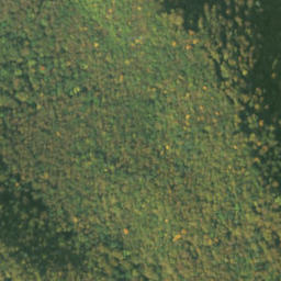 Satellite imagery of survey_point, SK